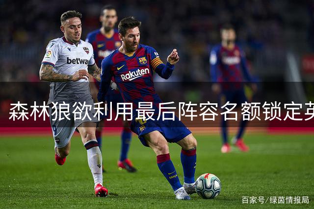 森林狼欲利用最后阵容名额锁定英格尔斯型球员